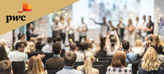 PWC Årets Ejerleder